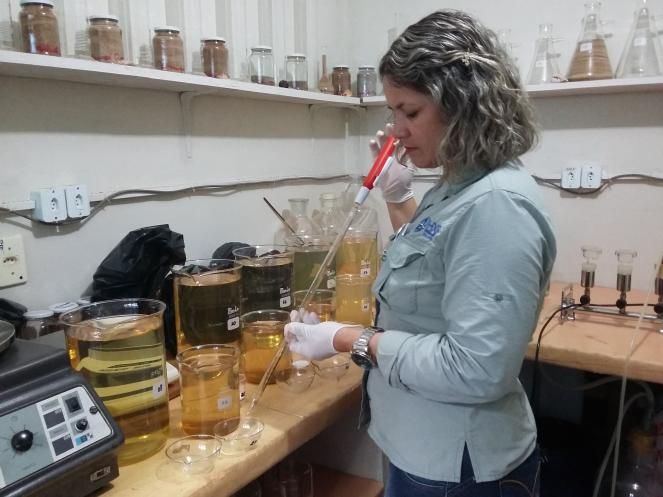 Análise sedimentométrica em laboratório